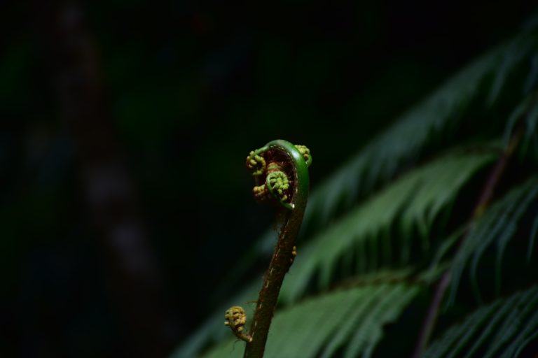 WhatsApp Image 2025-01-01 at 10.56.56_b8ea11cd