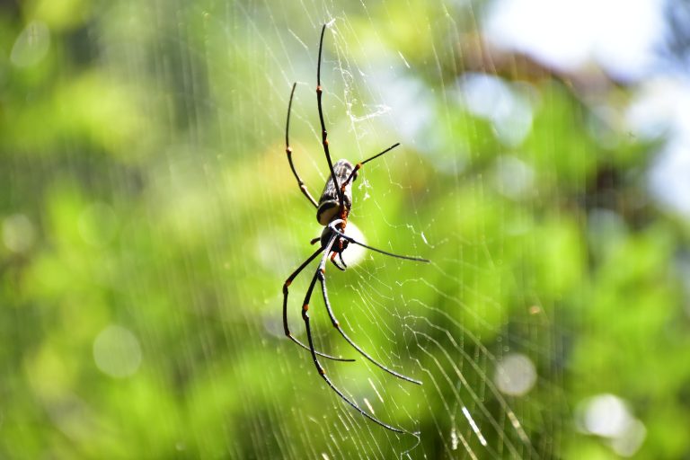 WhatsApp Image 2025-01-01 at 10.56.58_f036d79d